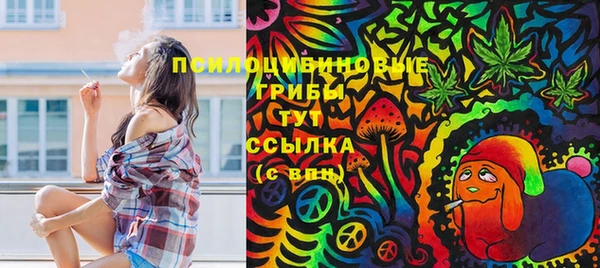 мдпв Лиски