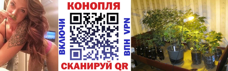 где найти наркотики  Нижняя Тура  Бошки Шишки OG Kush 